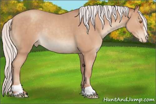 Horse Color:Silver Classic Champagne Sabino Appaloosa Rabicano 