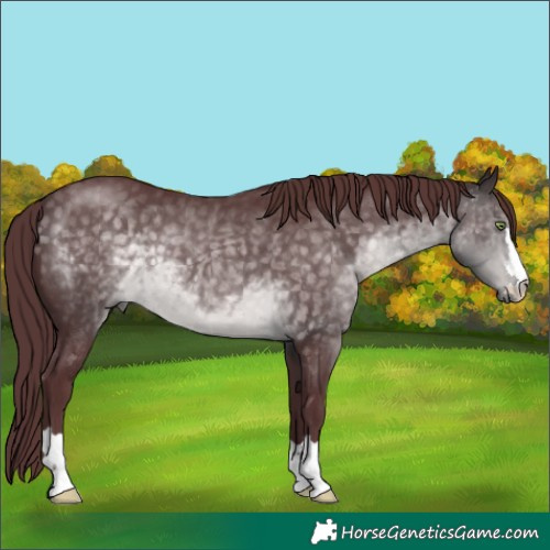 Horse Color:Platinum Chocolate Buckskin 