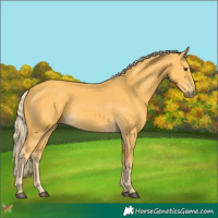Horse Color:Palomino 