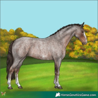 Horse Color:White Spotted Liver Red Roan 