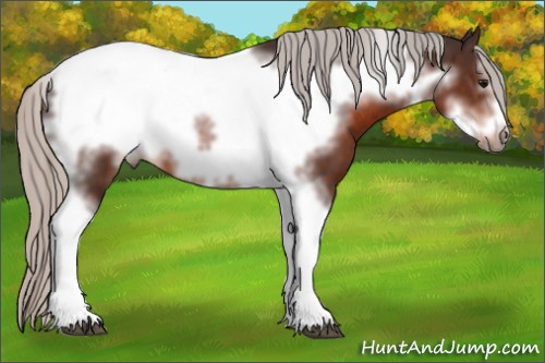 Horse Color:Silver Brown Tobiano Frame 