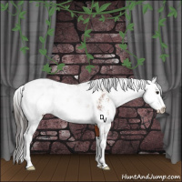 Horse Color:Bay Sabino 