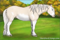 Horse Color:Silver Amber Champagne Dun Splash Frame 