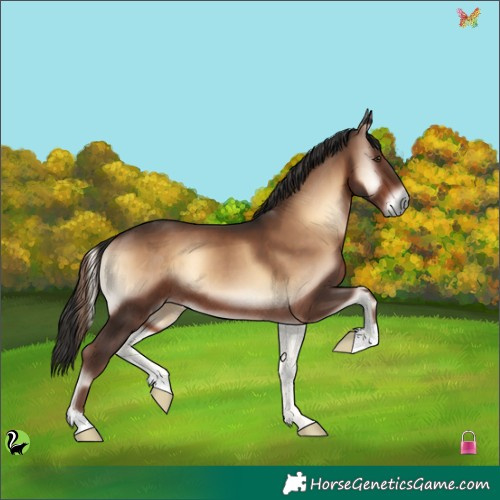 Horse Color:Liver Red Onyx 