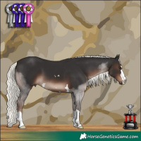Horse Color:Liver Chestnut Mushroom 