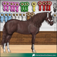 Horse Color:Chocolate Black 