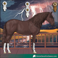 Horse Color:Chocolate Black