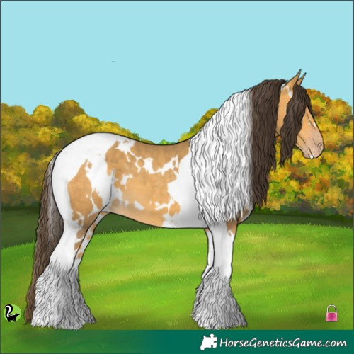 Horse Color:White Spotted Amber Cream Champagne Tobiano 