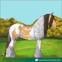 Horse Color:White Spotted Amber Cream Champagne Tobiano 