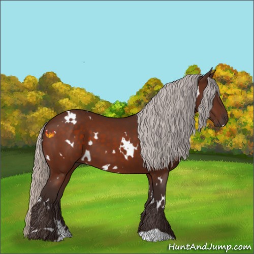 Horse Color:White Spotted Silver Brown 