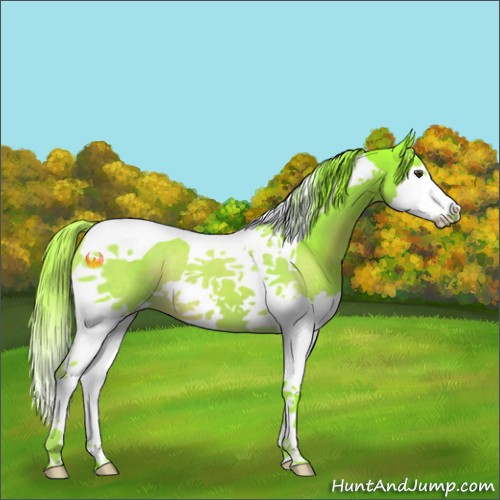 Horse Color:Watercolor Liver Chestnut Splash Tobiano 