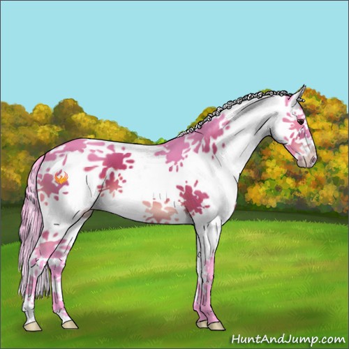 Horse Color:Watercolor Brown Splash
