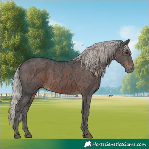 Horse Color:Silver Brown Ice 