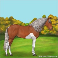 Horse Color:Silver Brown Tobiano 
