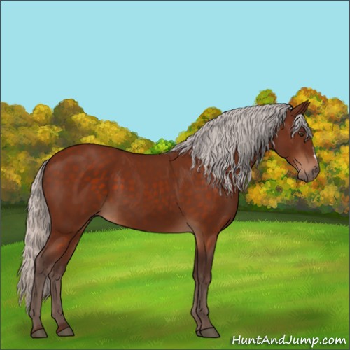 Horse Color:Silver Brown 