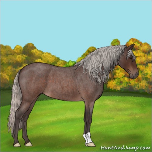 Horse Color:Silver Brown Roan 