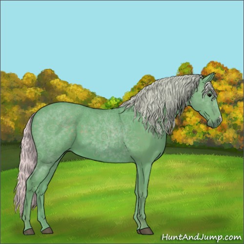 Horse Color:Watercolor Silver Black 