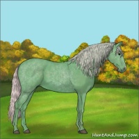 Horse Color:Watercolor Silver Black 
