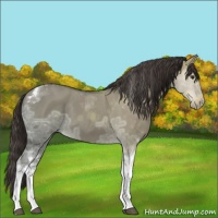 Horse Color:Liver Red Dun Ice Tobiano 