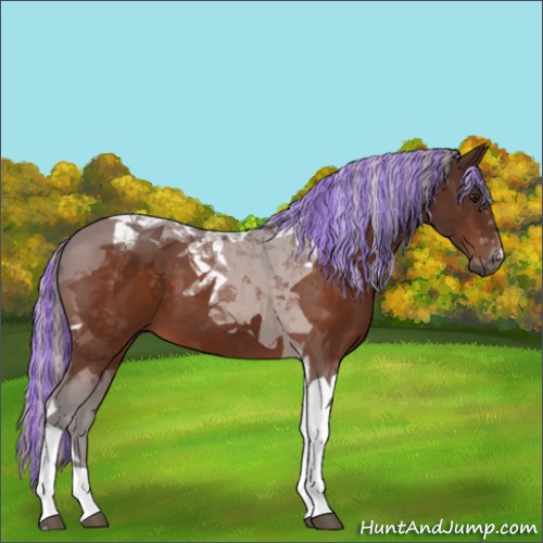 Horse Color:Painted Silver Bay Tobiano