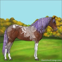 Horse Color:Painted Silver Bay Tobiano