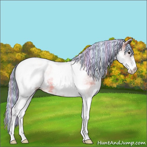 Horse Color:Painted White Spotted Silver Brown Tobiano