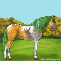 Horse Color:Painted Liver Chestnut Tobiano 