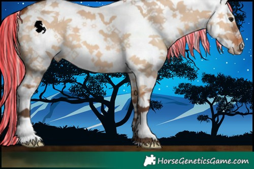 Horse Color:Painted White Spotted Silver Bay Dun Splash 