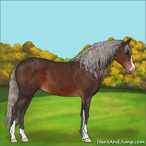 Horse Color:Silver Brown Sabino