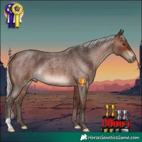 Horse Color:Silver Brown Roan 