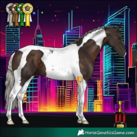 Horse Color:Silver Brown Tobiano 