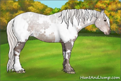 Horse Color:White Spotted Silver Black Ice
