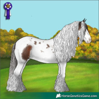 Horse Color:Liver Chestnut Splash Tobiano 