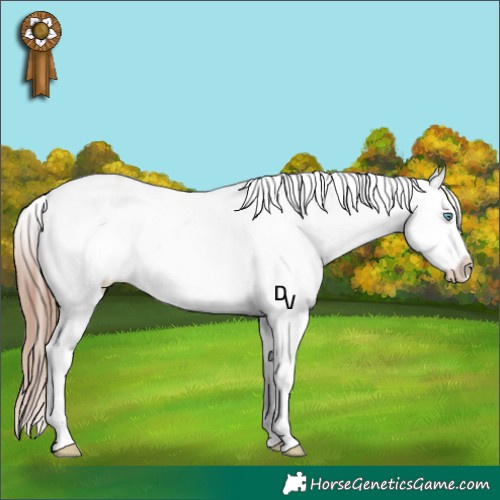 Horse Color:Amber Champagne Roan Dun Snowflake Varnish