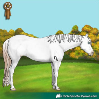 Horse Color:Amber Champagne Roan Dun Snowflake Varnish 