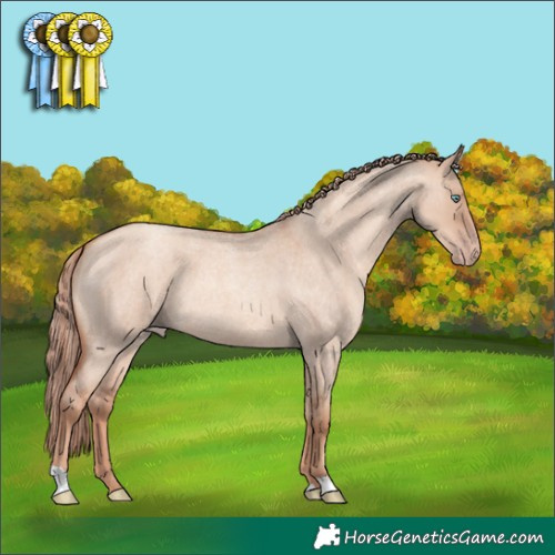 Horse Color:Gold Champagne Roan Dun 