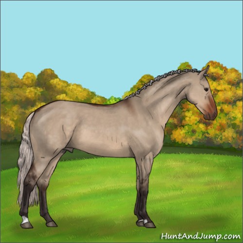 Horse Color:Silver Brown Dun 