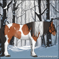 Horse Color:Brown Tobiano Rabicano 