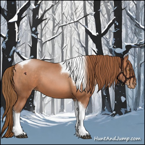 Horse Color:Bay Pearl Tobiano
