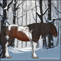 Horse Color:Liver Chestnut Tobiano