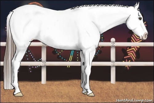 Horse Color:Blue Roan Splash Varnish 