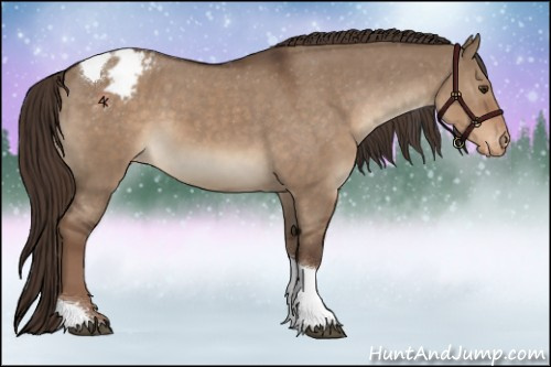 Horse Color:Liver Red Dun Tobiano Appaloosa 