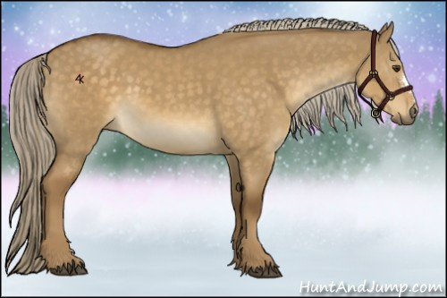 Horse Color:Chocolate Palomino Dun 