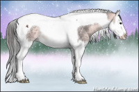 Horse Color:Platinum Buckskin Splash Tobiano 