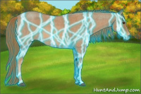 Horse Color:Thunderstruck Red Roan 