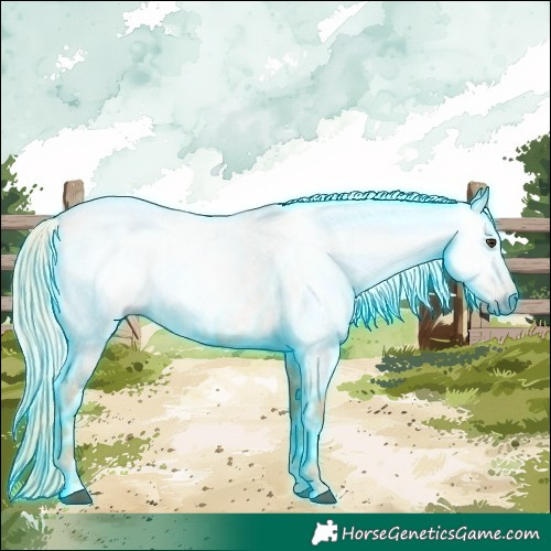 Horse Color:Gray Thunderstruck Palomino Roan 