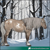 Horse Color:White Spotted Silver Brown Dun Tobiano