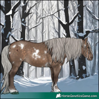 Horse Color:White Spotted Silver Brown Dun Tobiano