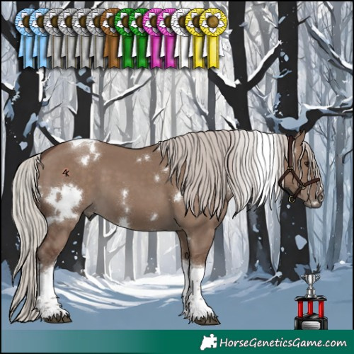 Horse Color:White Spotted Silver Grullo Tobiano 