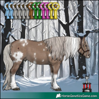 Horse Color:White Spotted Silver Grullo Tobiano 